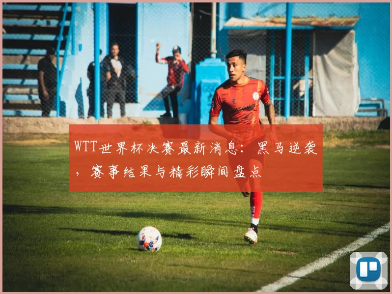 WTT世界杯决赛最新消息:黑马逆袭,赛事结果与精彩瞬间盘点