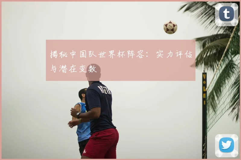 揭秘中国队世界杯阵容：实力评估与潜在变数