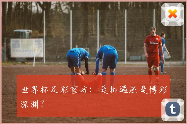 世界杯足彩官方:是机遇还是博彩深渊?