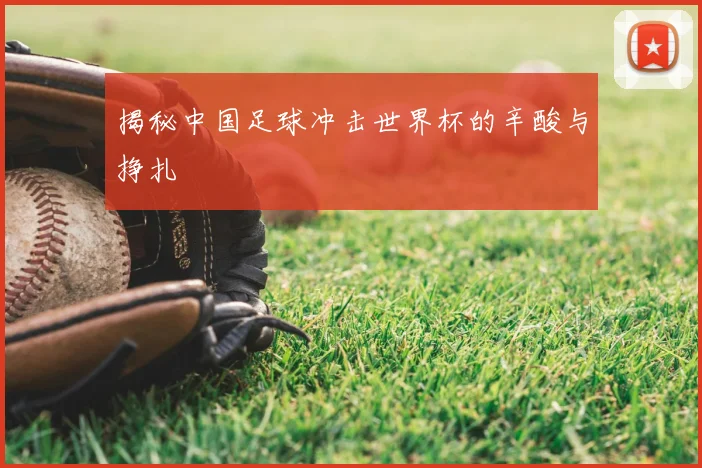 揭秘中国足球冲击世界杯的辛酸与挣扎