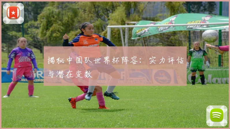 揭秘中国队世界杯阵容：实力评估与潜在变数