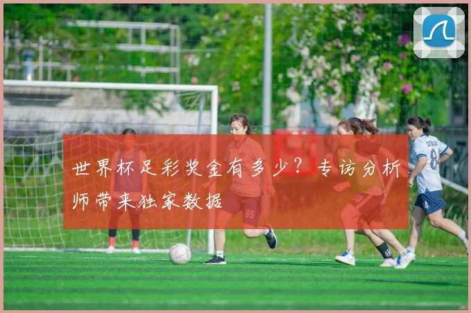 世界杯足彩奖金有多少?专访分析师带来独家数据