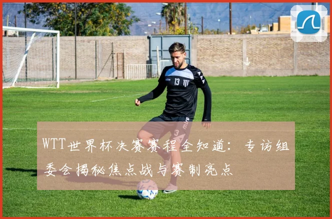WTT世界杯决赛赛程全知道:专访组委会揭秘焦点战与赛制亮点